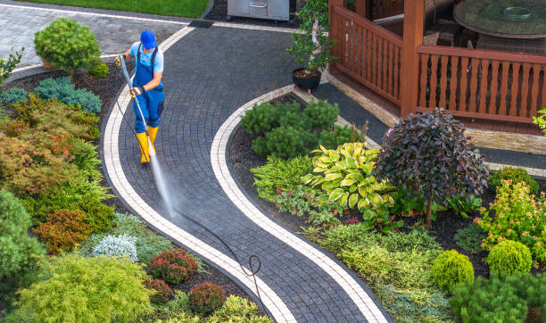 Best Pressure Washing Near Me  in Meridian, CO